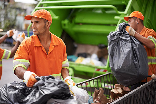 Best Yard Waste Removal  in Despard, WV